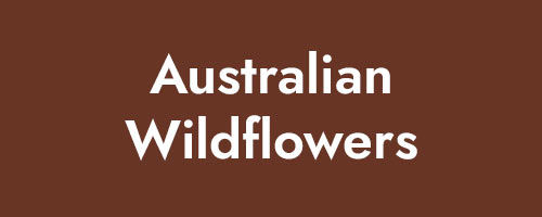 Australian Wildflowers Logo